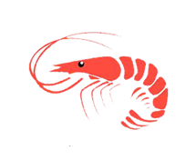 Syscompsa sistema sector camaronero